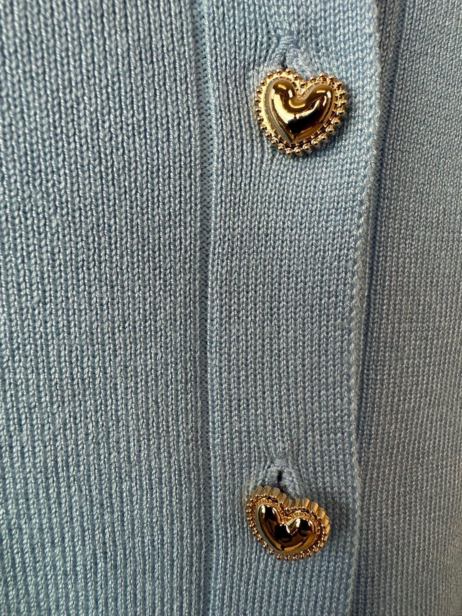 Vest| Hartjes | Blauw