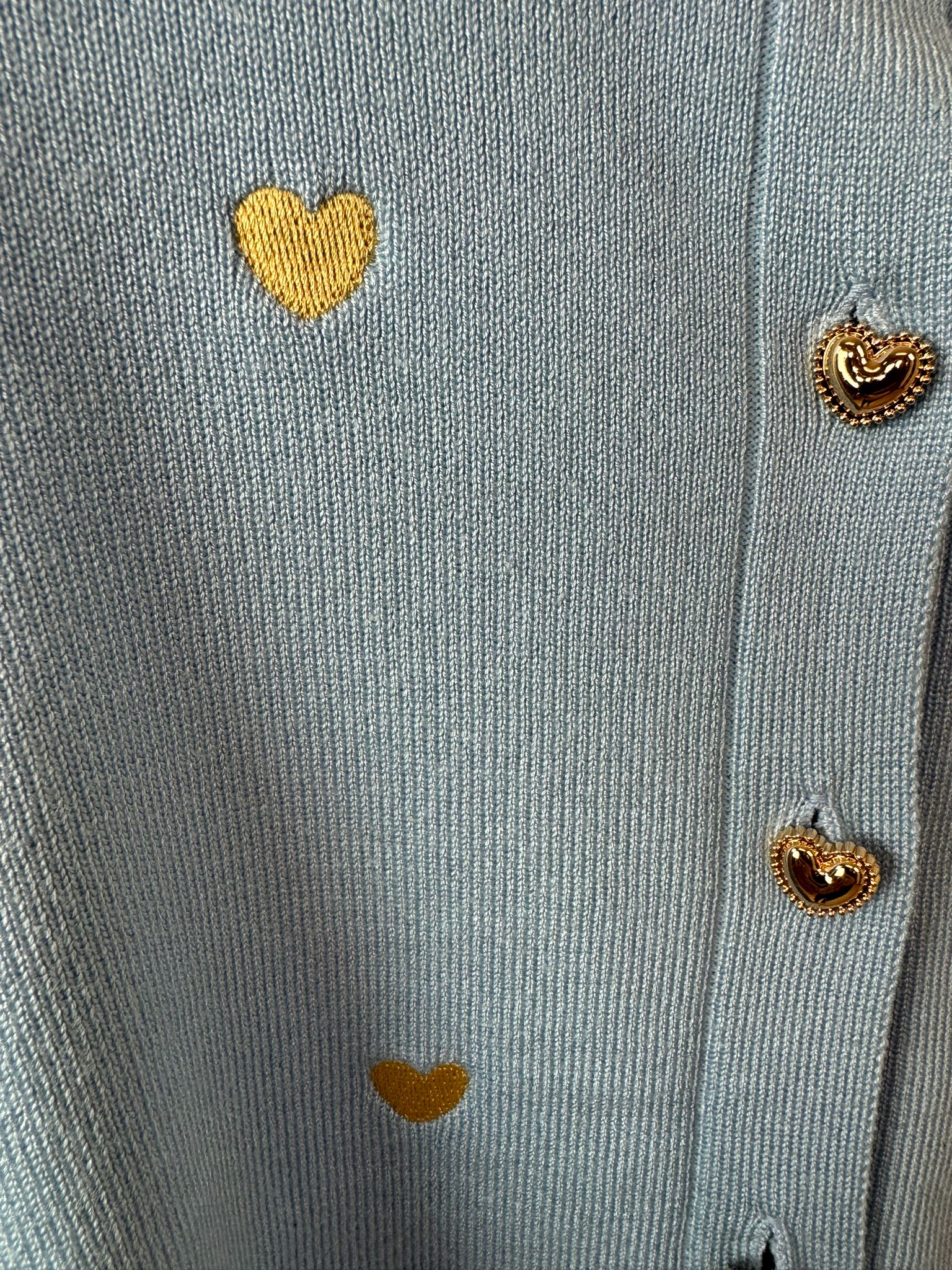 Vest| Hartjes | Blauw