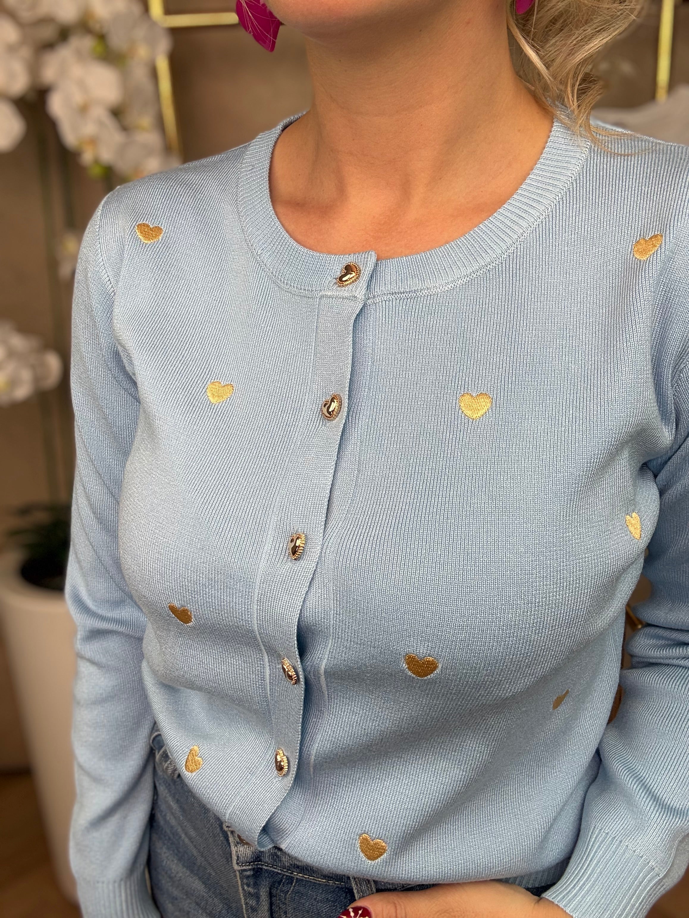 Vest| Hartjes | Blauw